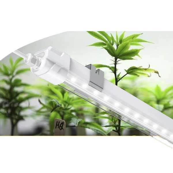 Smart Start 2xLED Grow Light