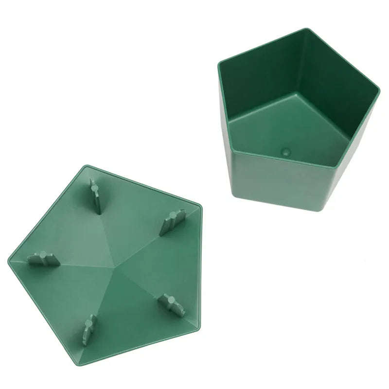 Snail & Slug Trap (10cm x 10cm)