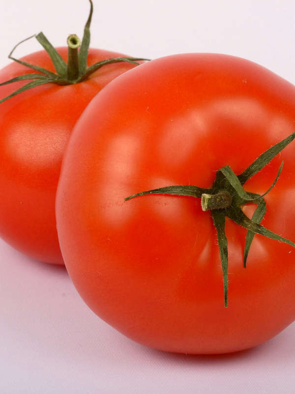 Tomato Moneymaker Seeds