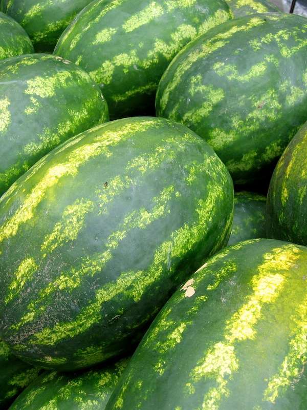 Watermelon All Sweet Seeds