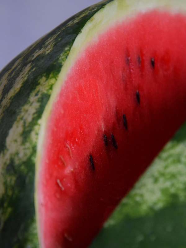 Watermelon Congo Seeds