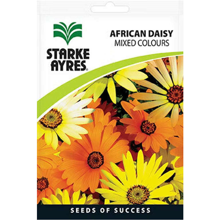 African Daisy Mixed Colours Flower Seeds
