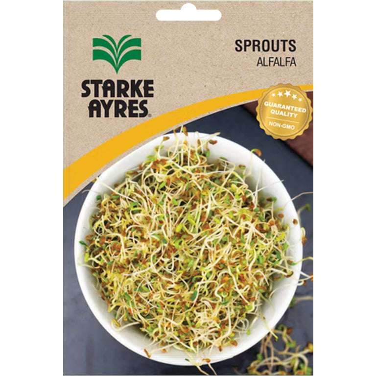 Alfalfa Sprout Seeds