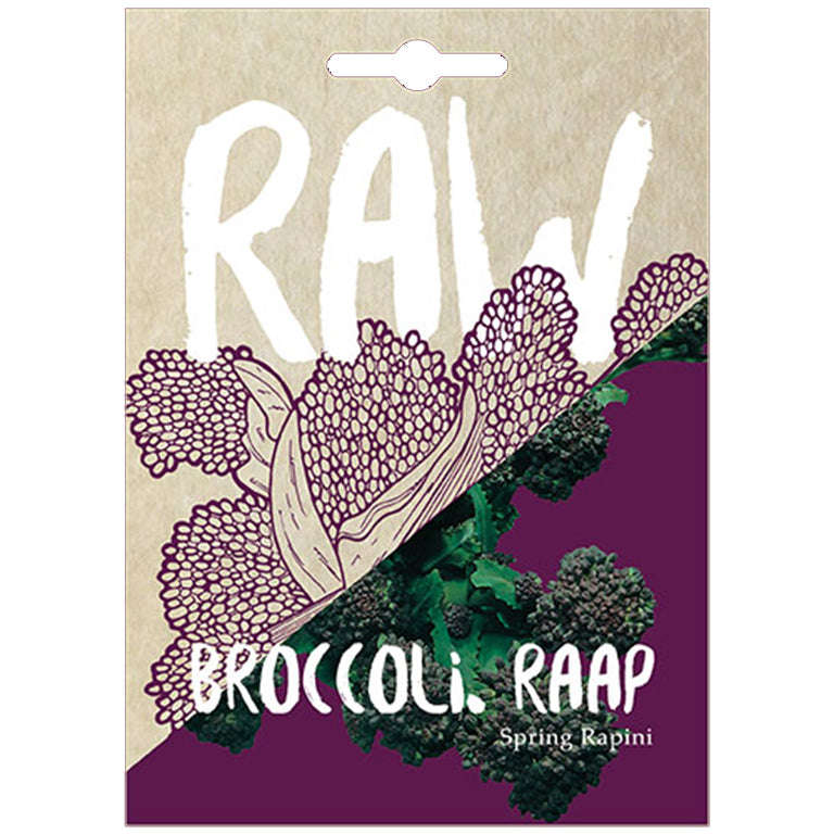 Broccoli Raap Spring Rapini Seeds