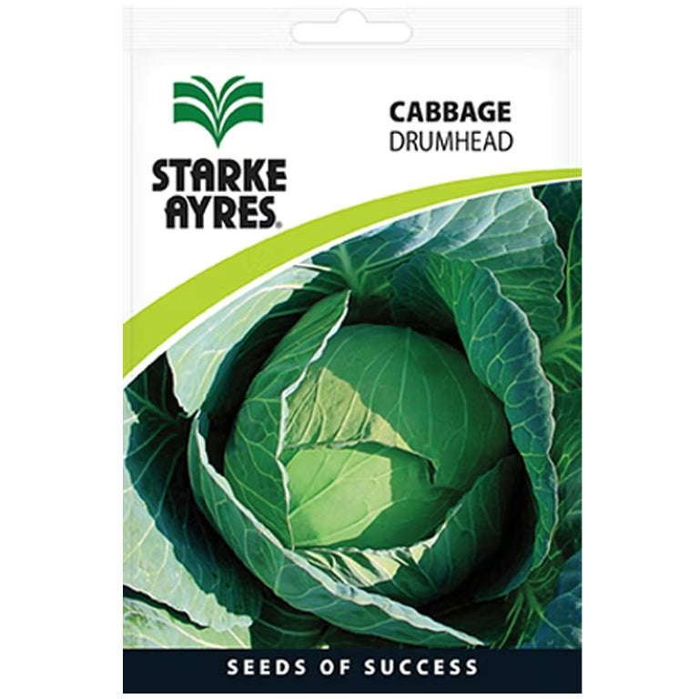 Cabbage Drumhead Seeds