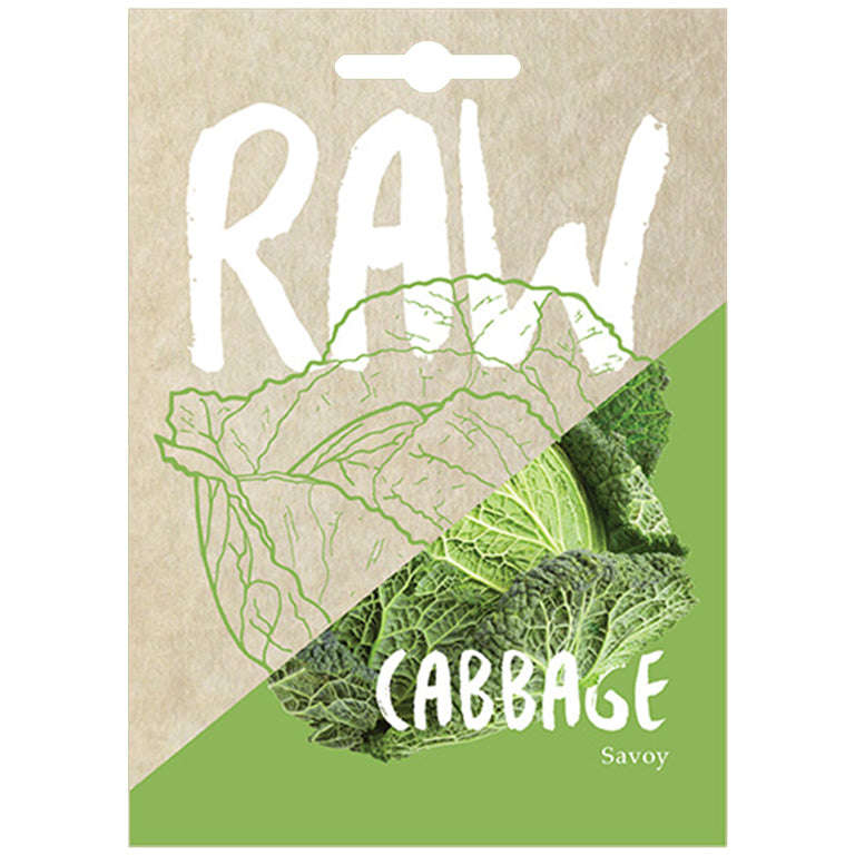 Cabbage Savoy Seeds