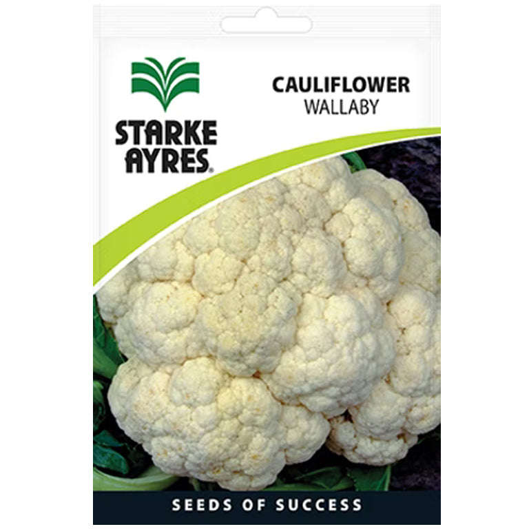 Cauliflower Wallaby Seeds
