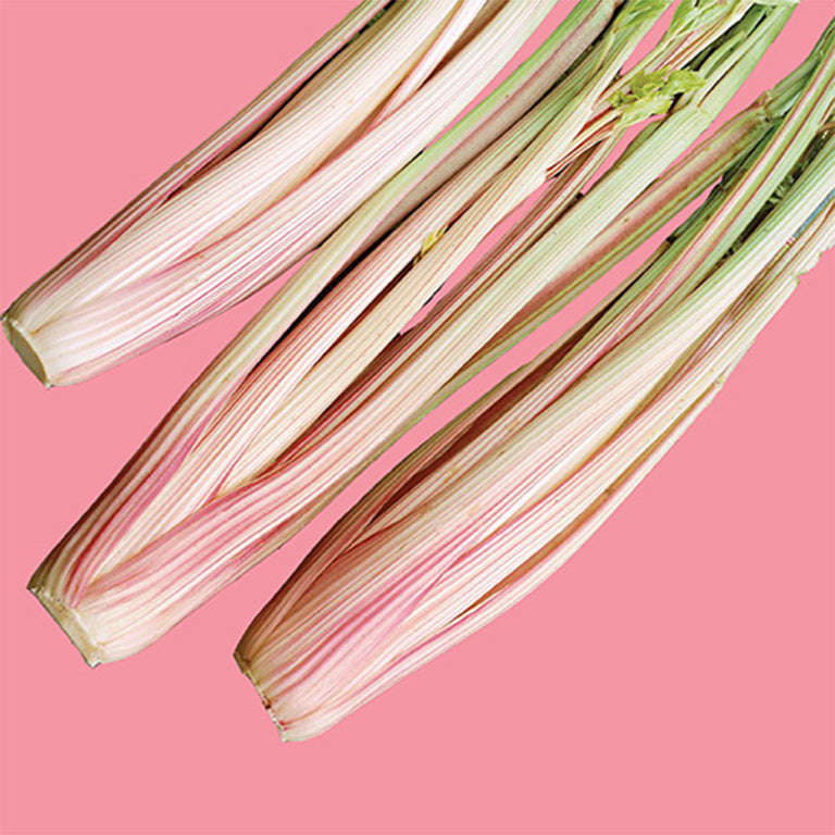 Celery Peppermint Stick Seeds