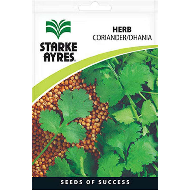 Coriander Herb Seeds