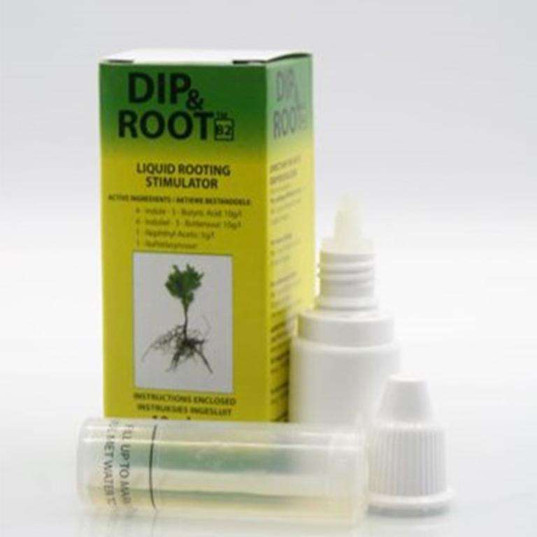 Dip & Root