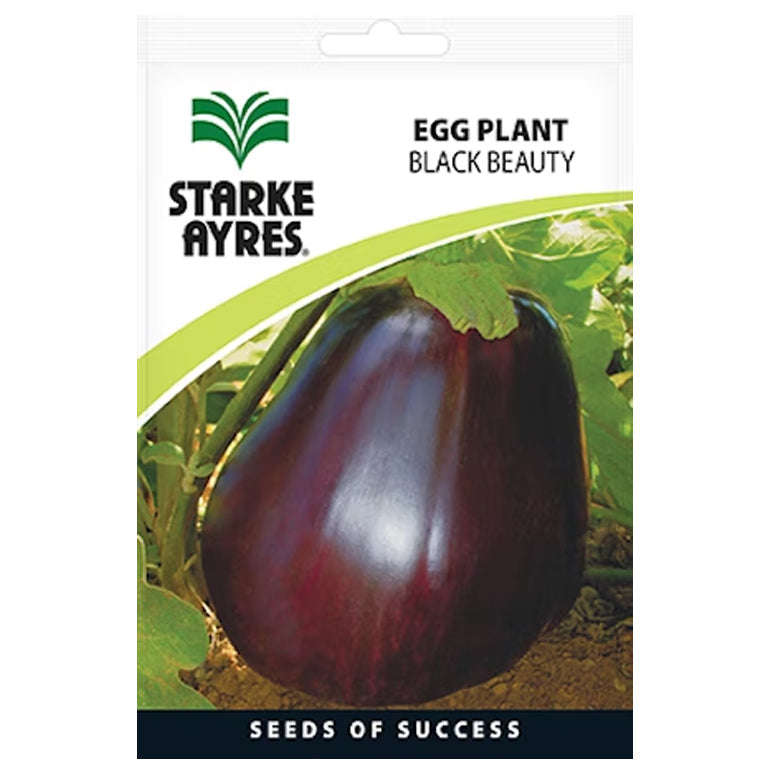 Eggplant Black Beauty Seeds