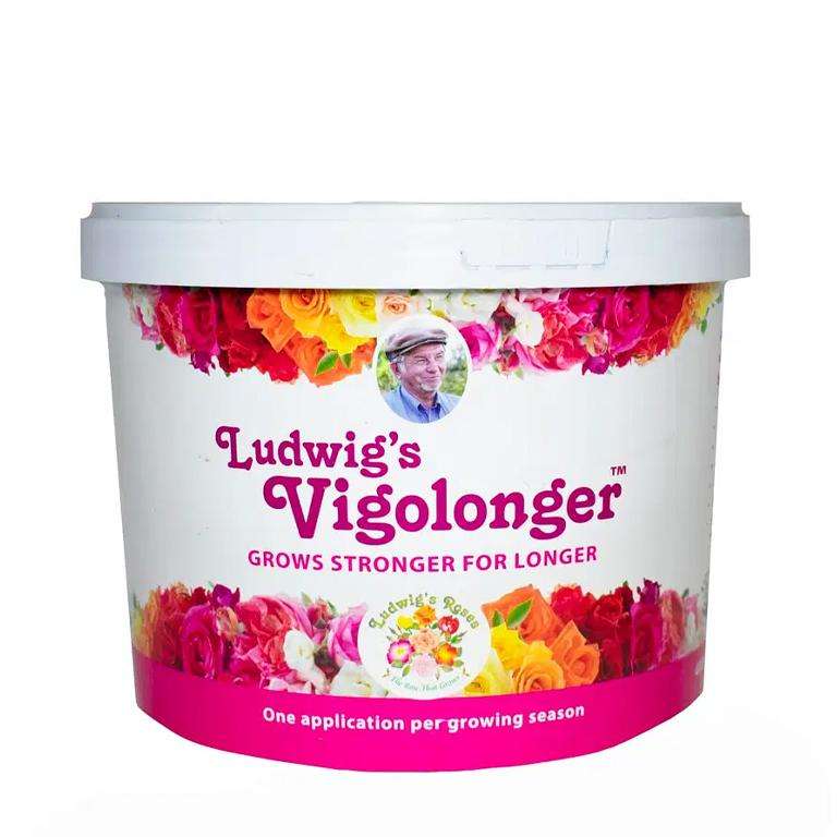 Ludwig's Vigolonger