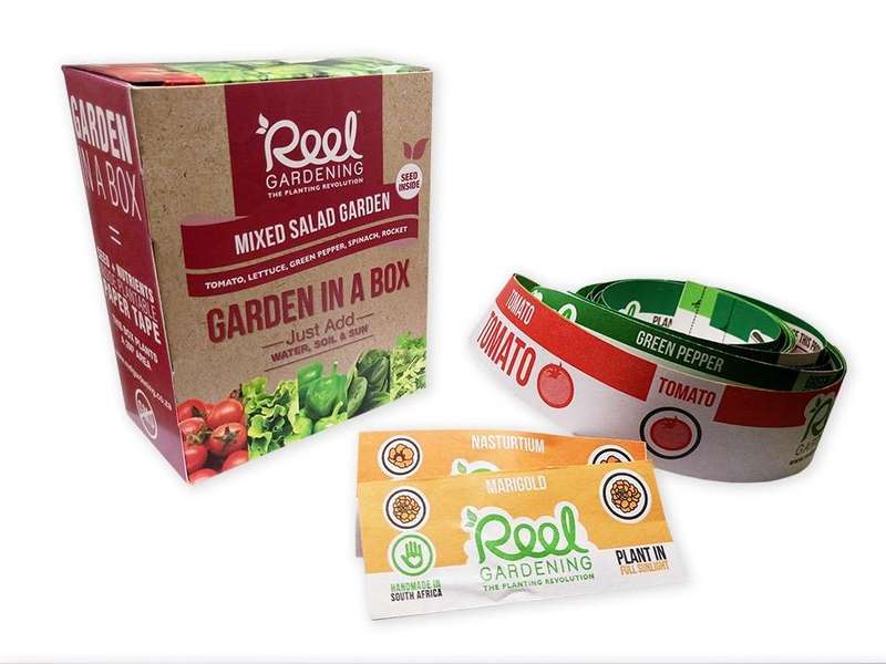 Mixed Salad Garden In a Box