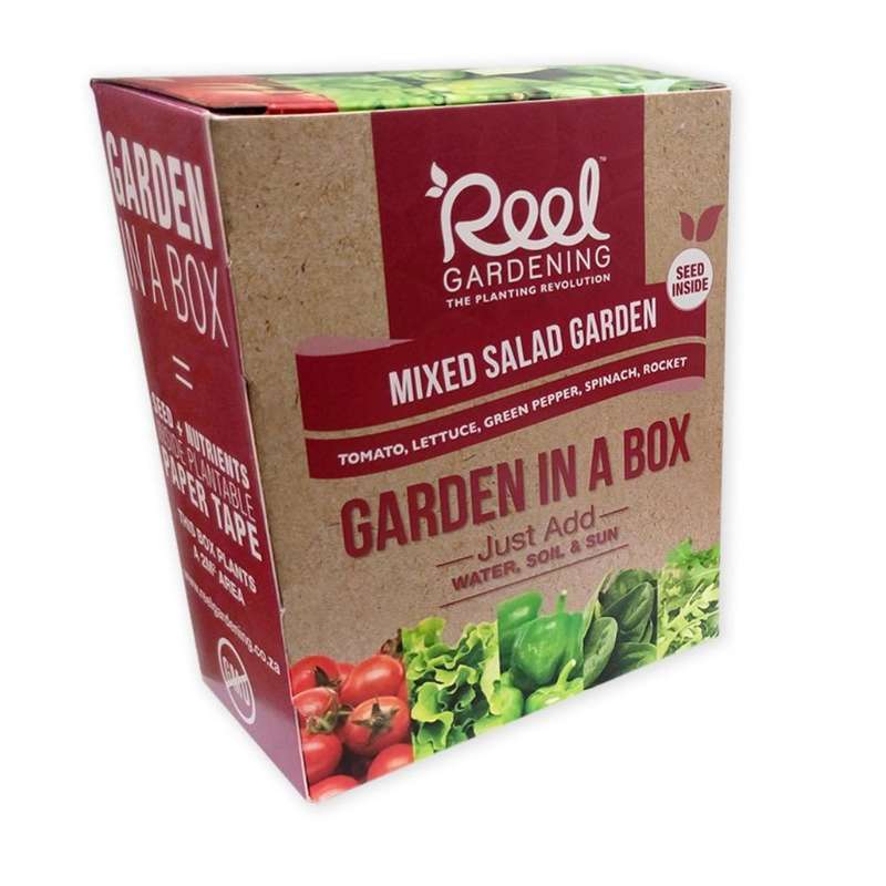 Mixed Salad Garden In a Box