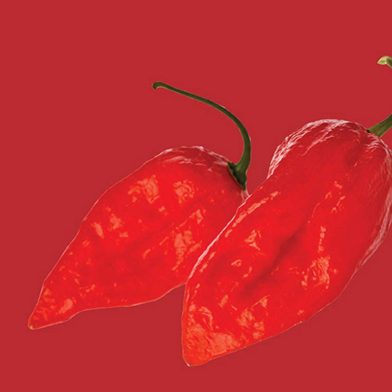 Pepper Chilli Ghost Chilli (Bhut Jolokia) Seeds