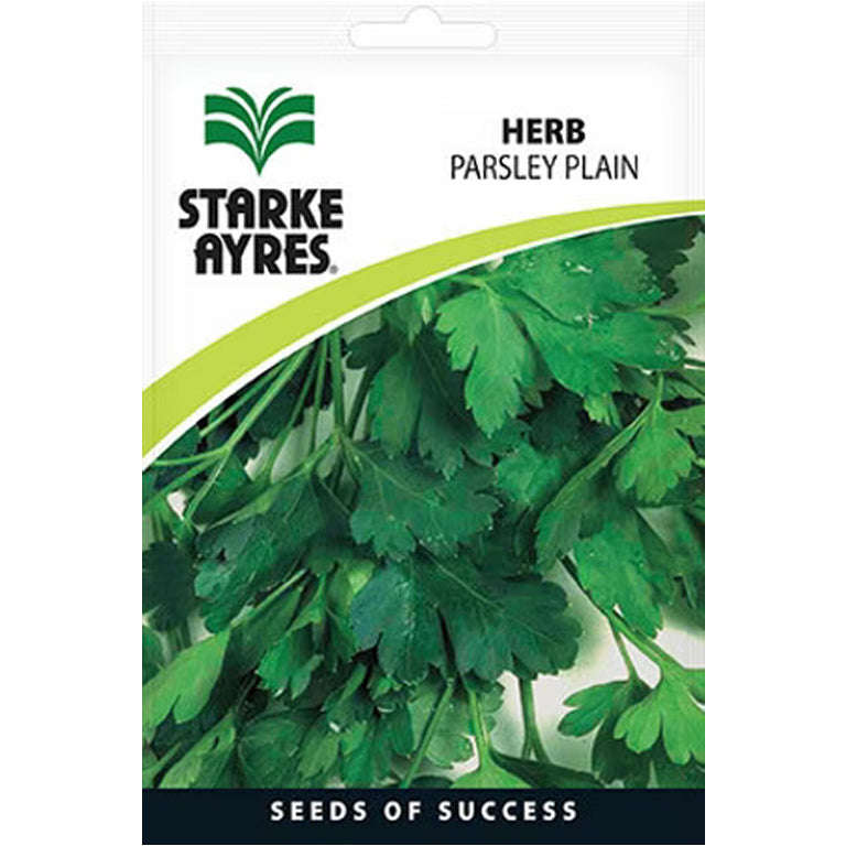 Parsley Plain (Flat-Leave) Herb Seeds