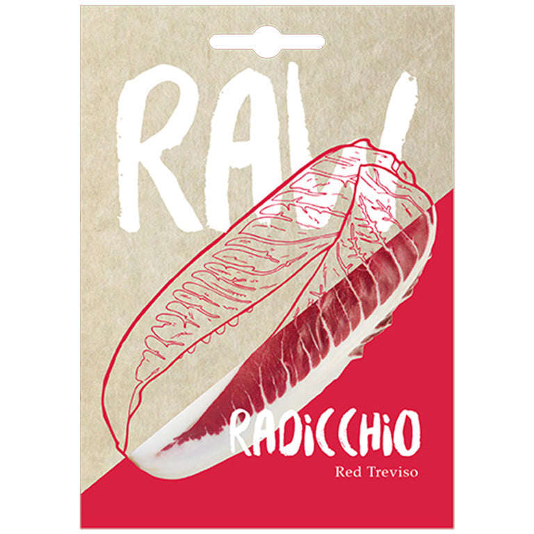 Radicchio Red Treviso Seeds