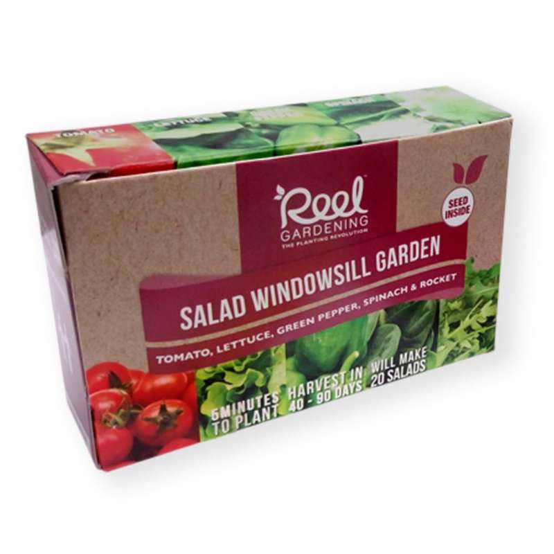 Salad Windowsill Garden In a Box