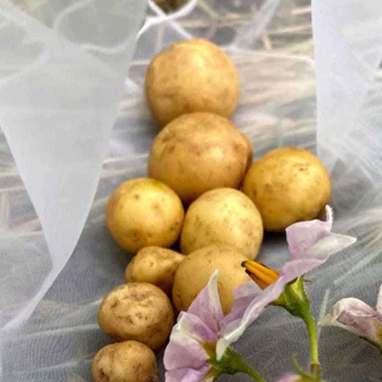 Potato Grow Kit (Incl Seed Potatoes)