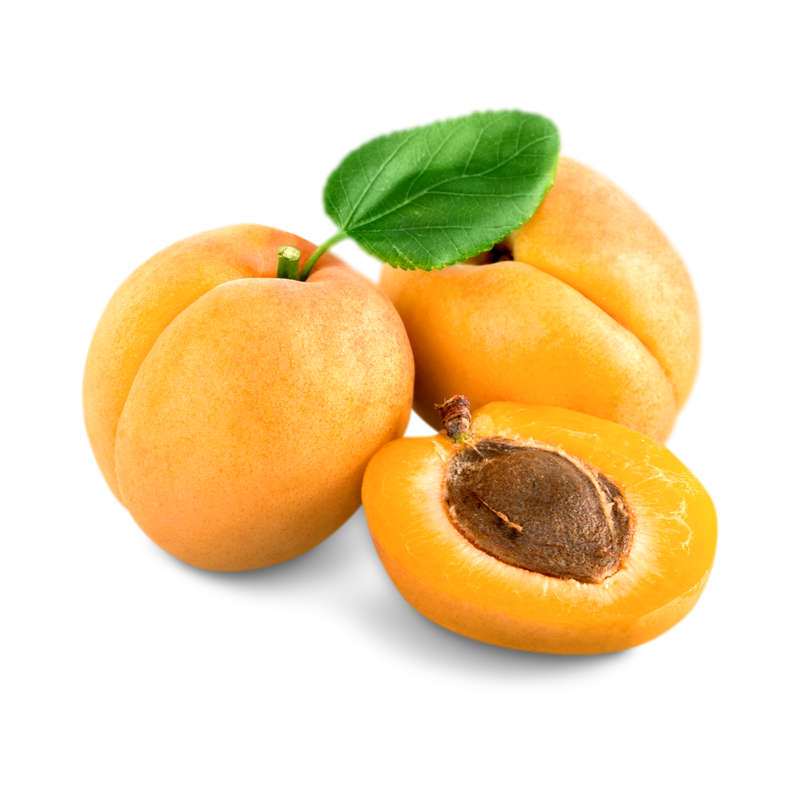 Apricot Concentrate (SSA/SUPA)