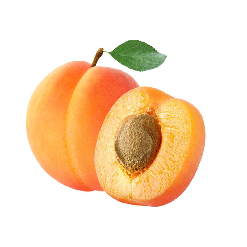 Armenia Apricot Concentrate (FA)