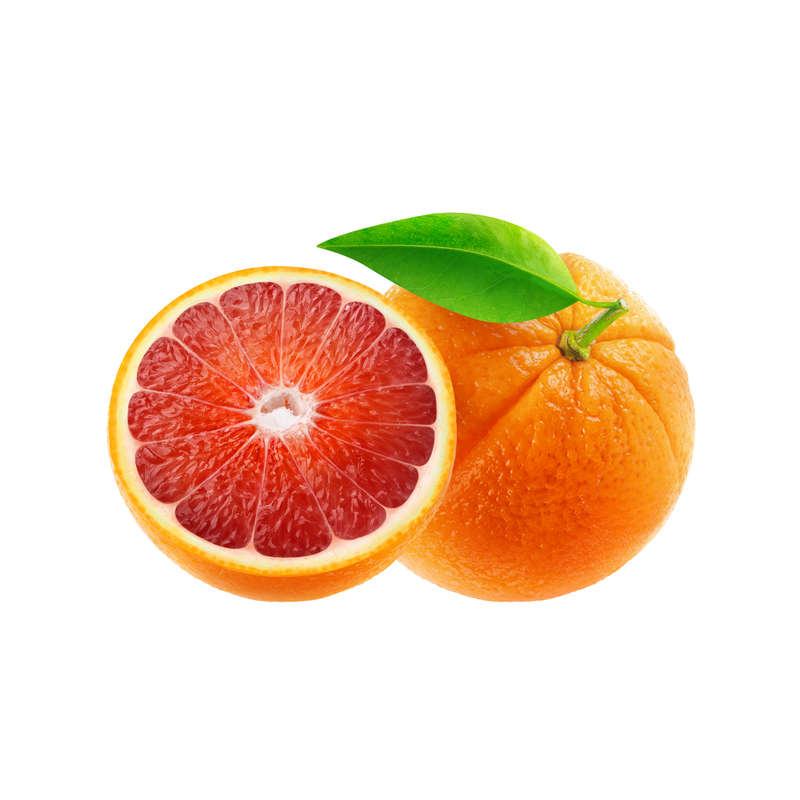 Blood Orange Concentrate (FA)