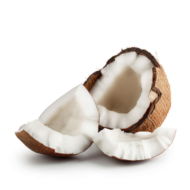 Coconut Shisha Concentrate (INW)