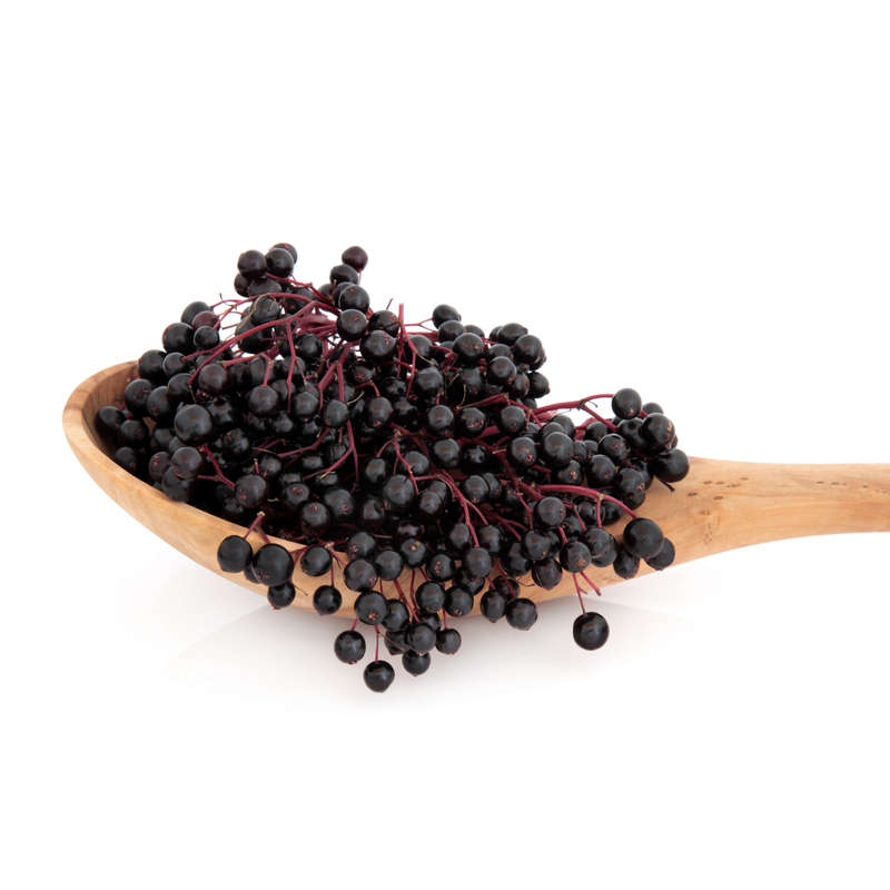 Elderberry Concentrate (TFA)