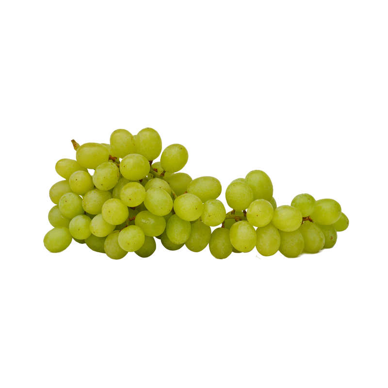 Grape Concentrate (YY)