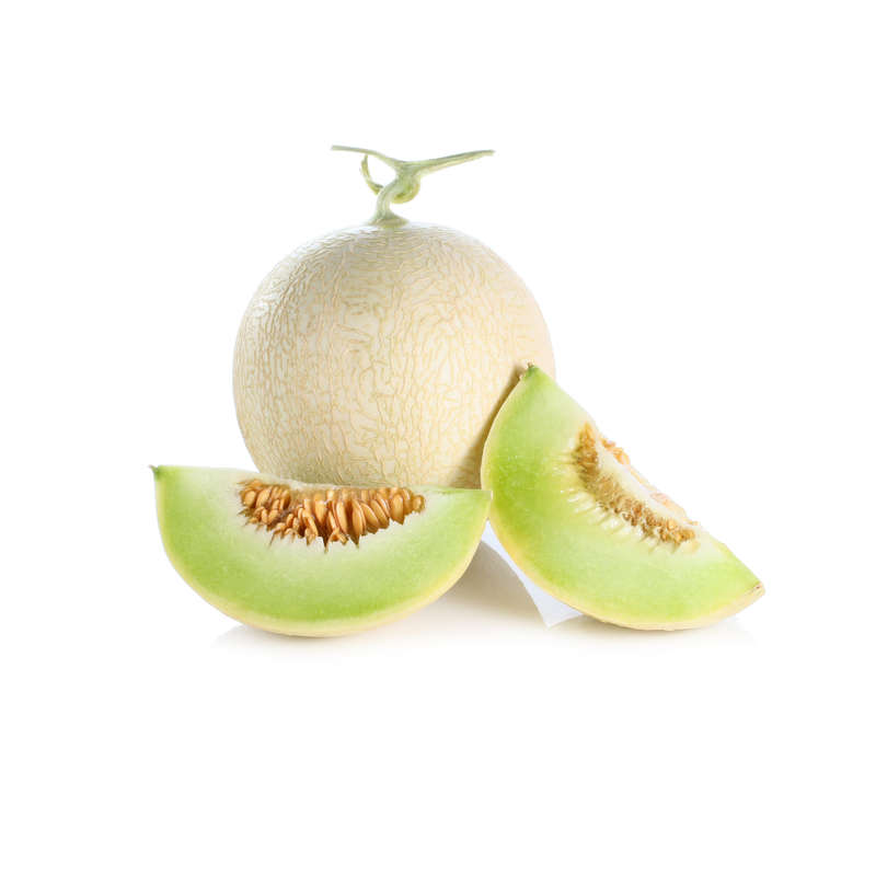 Honeydew Melon (JF)
