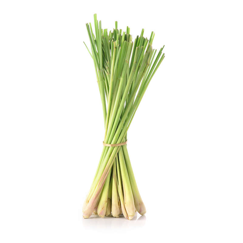 Lemon Grass** Concentrate (FLV)