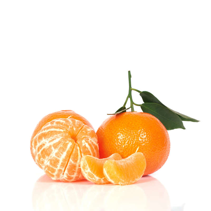 Mandarin Tanger Concentrate (FA)