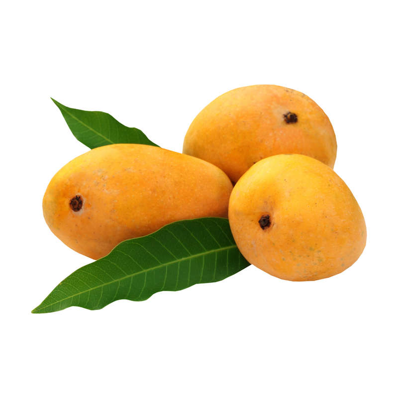Mango Indian Special Concentrate (FA)