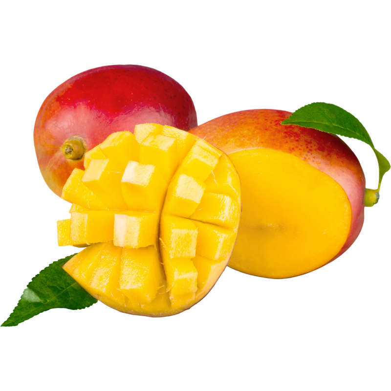 Mango Ripe Concentrate (REKA)