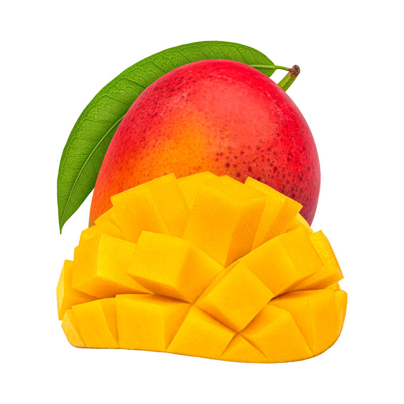 Mango V2 Concentrate (FRA)