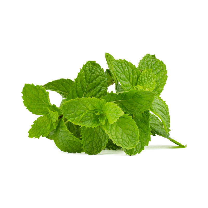 Mix Mint Concentrate (INW)