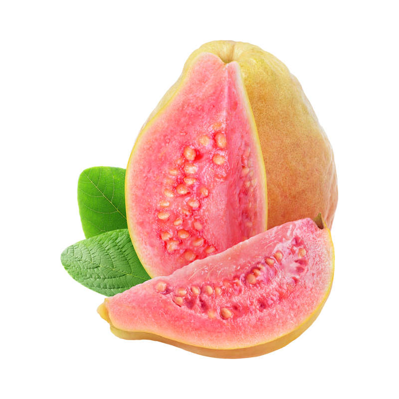 Pink Guava Concentrate (FRA)