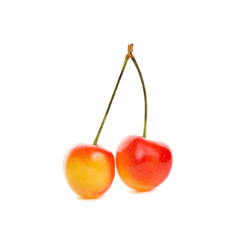 Rainier Cherry Concentrate (FLV)
