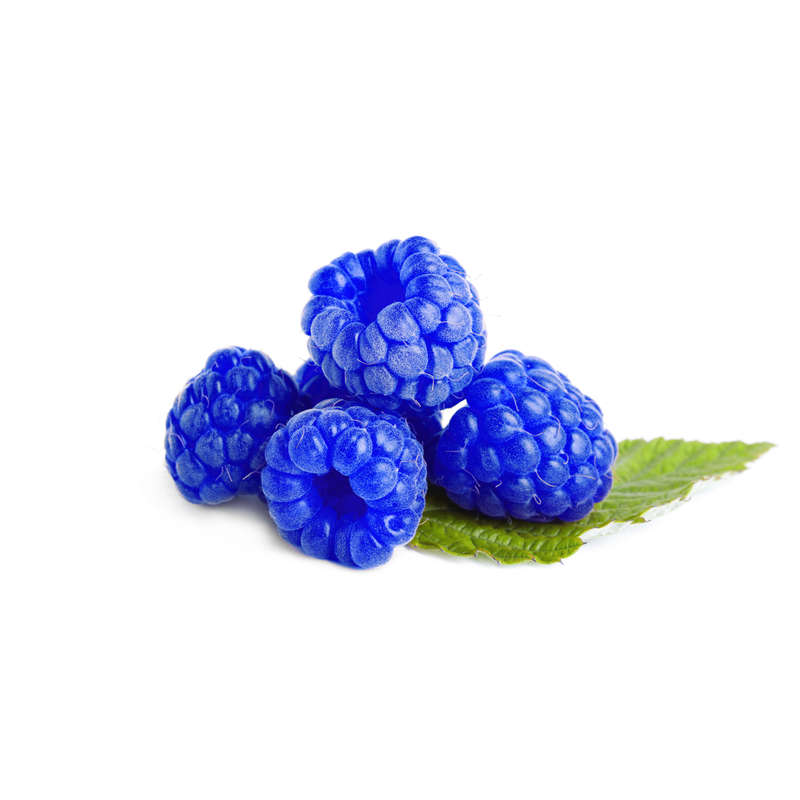 Raspberry Blue Concentrate (SSA/SUPA)