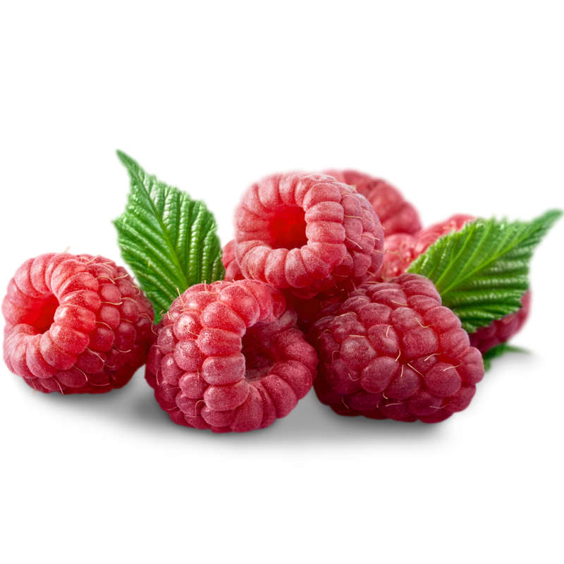 Raspberry Concentrate (FRA)