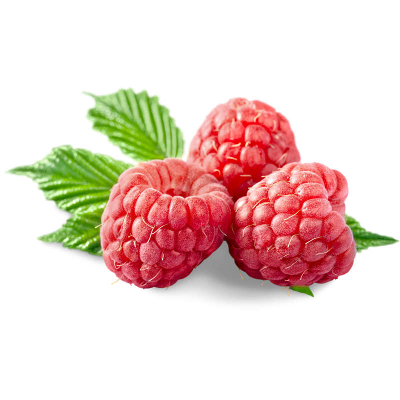 Raspberry Concentrate (HS)