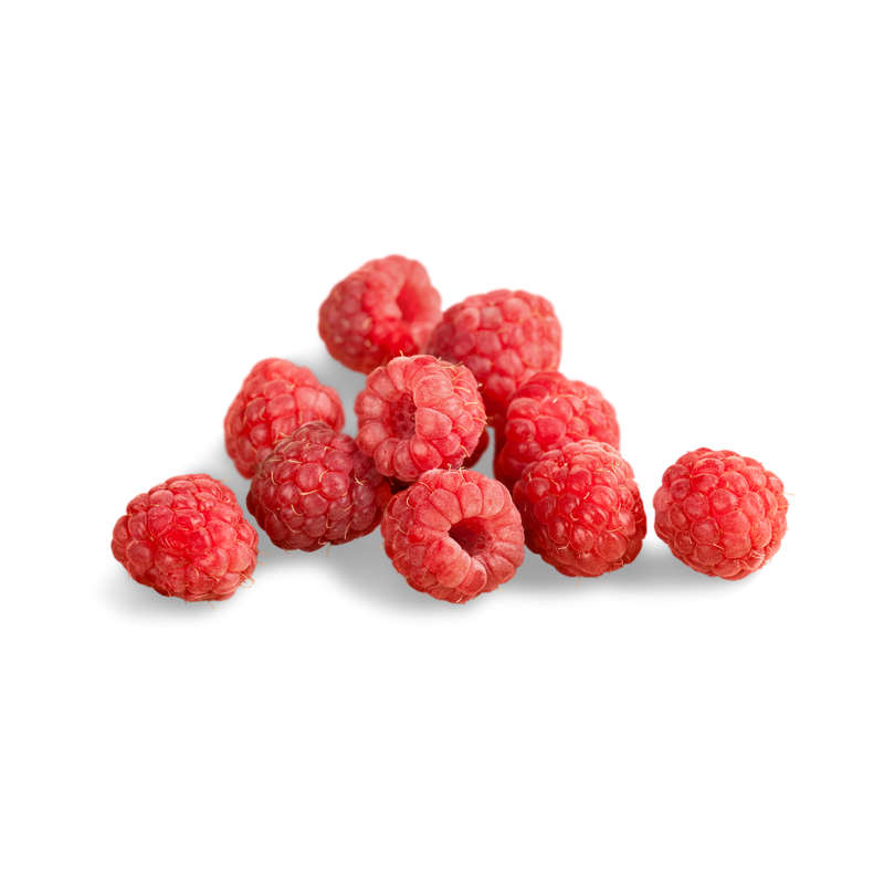 Raspberry Concentrate (RAW)