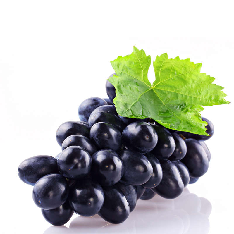 Red Dragon Grape M-Line (MB)