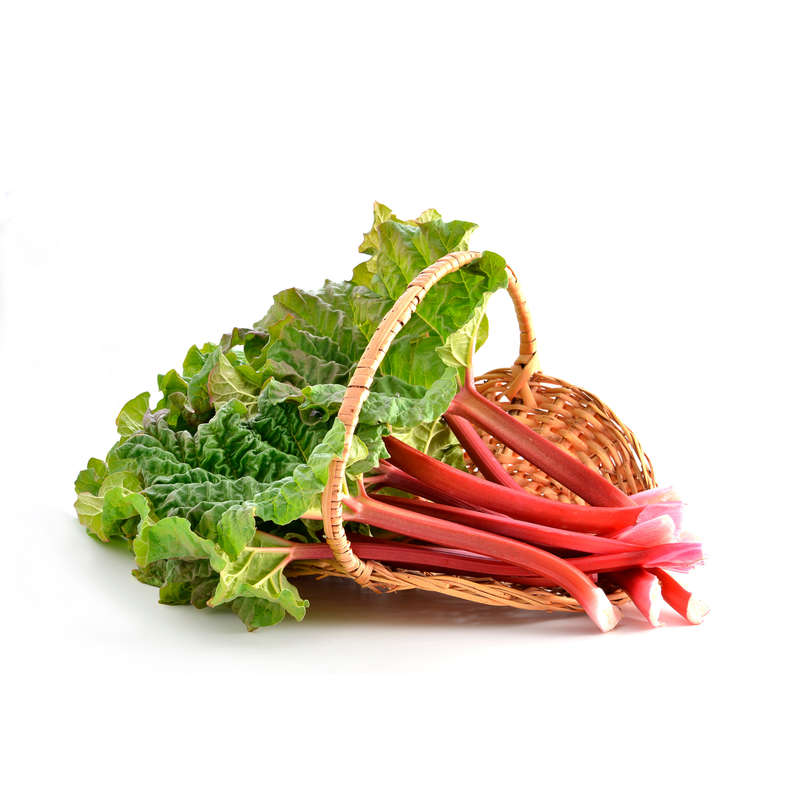 Rhubarb Raw Concentrate (VT)