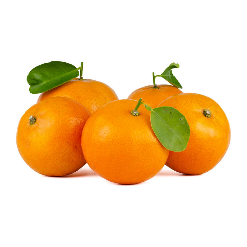 Royal Orange Concentrate (FA)