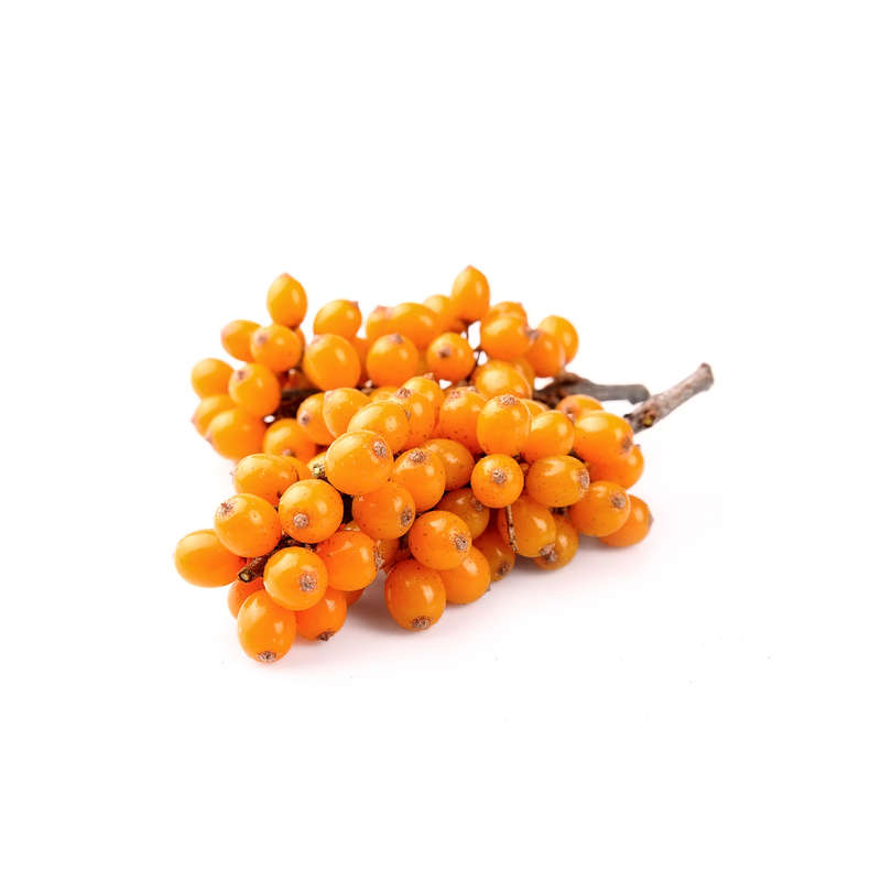 Sea Buckthorn Concentrate (FA)