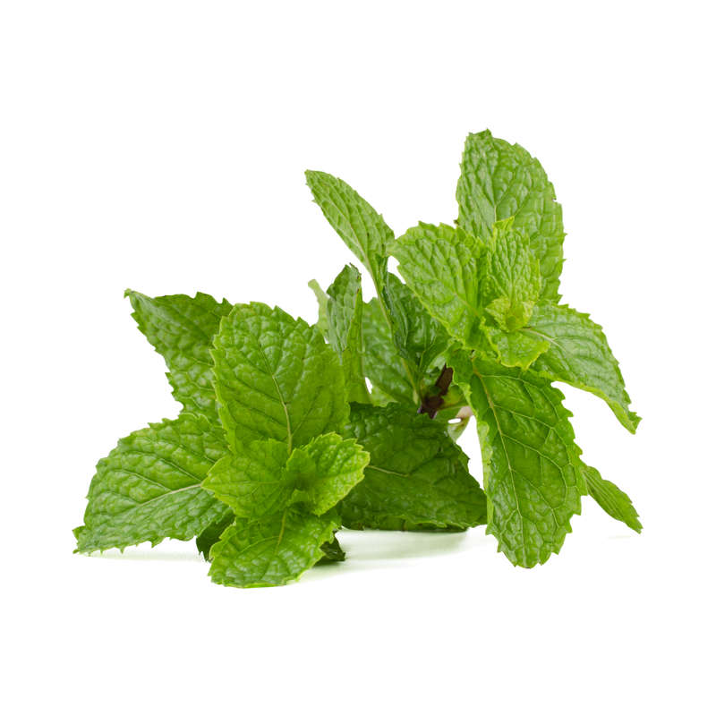 Spearmint Concentrate (CAP)
