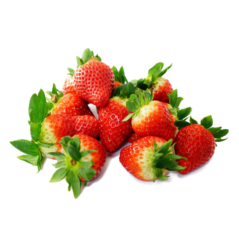 Strawberry Concentrate SC (RF)