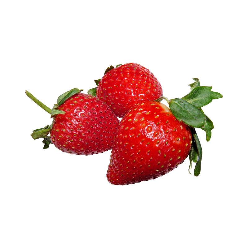 Sweet strawberry (JF)