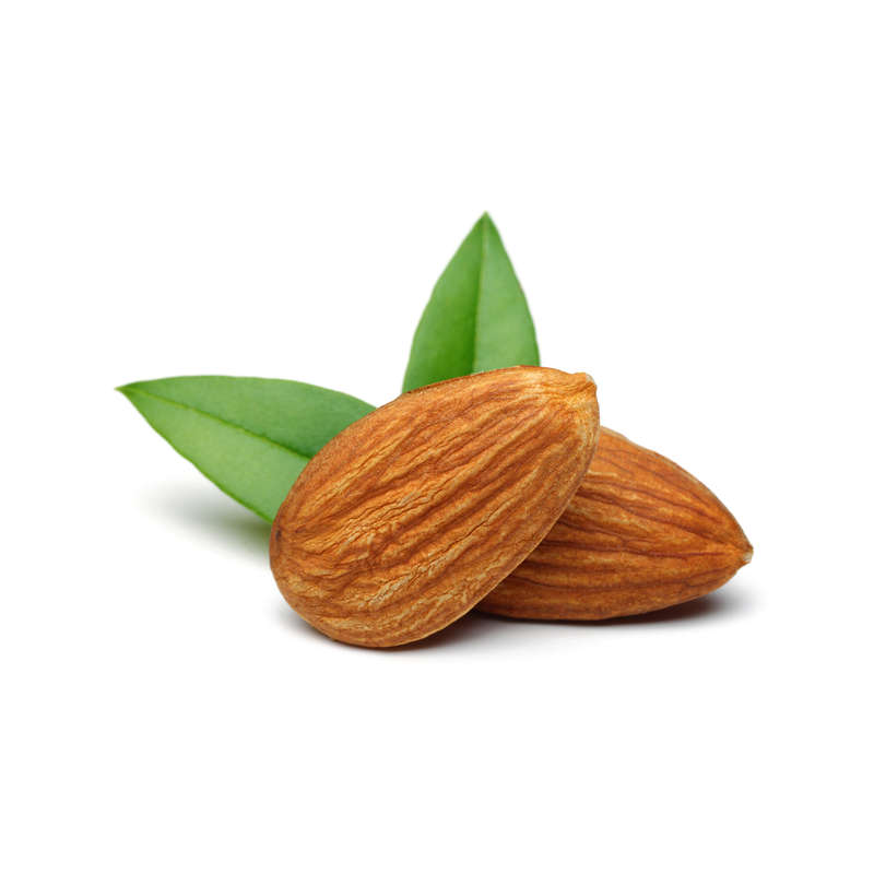 Toasted Almond Concentrate (CAP)